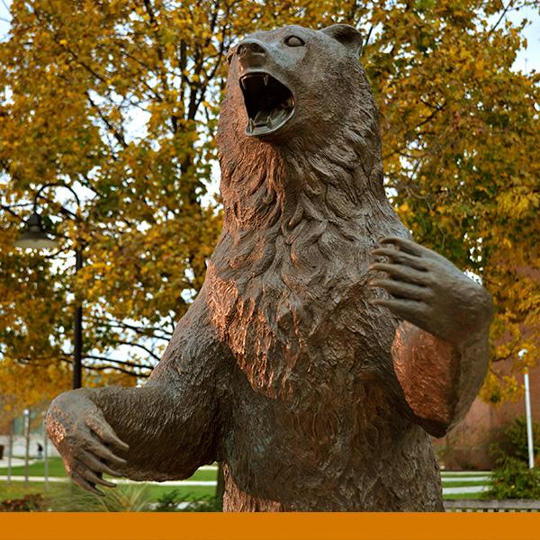 库兹敦熊雕像周围的橙色落叶
